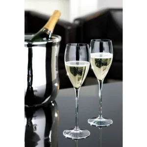 Fink Living Fink Salvador Champagnergläser – 6er Set – 6er Set – 320 Ml – Ø 7,3 Cm – Höhe 26 Cm – Glas 9