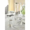 Fink Living Fink Platinum Wasser-/Whiskygläser – 6er Set – 6er Set – 280 Ml – Ø 8 Cm – Höhe 9 Cm – Silberfarbener Rand + Glas 13