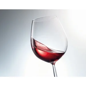 Schott Zwiesel Schott-Zwiesel DIVA Wasser-/Rotwein-Glas 2er-Set – 2 X 613 Ml – Farblos Klar 9