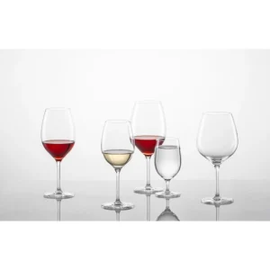 Schott Zwiesel For You Burgundergläser – 4er-Set – 4er-Set – Ø 10,1 Cm – Höhe: 21,8 Cm – Klar 13