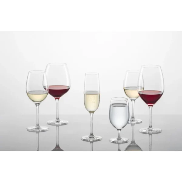 Schott Zwiesel For You Burgundergläser – 4er-Set – 4er-Set – Ø 10,1 Cm – Höhe: 21,8 Cm – Klar 5